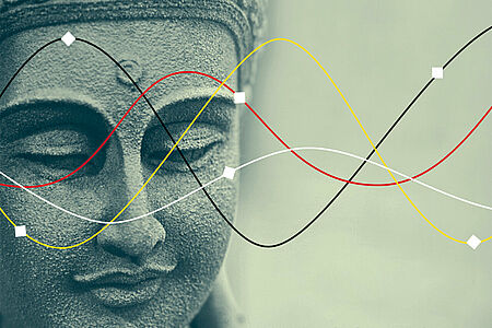 Die Hirnforschung auf Buddhas Spuren von James Kingsland