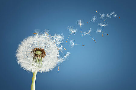 Deine Hochsensibilität ist deine Superpower
