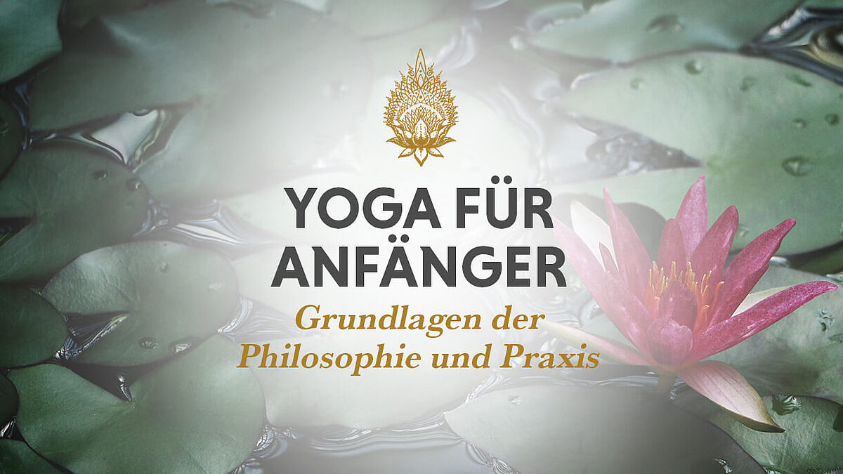 Online Yoga Kurs Anfänger