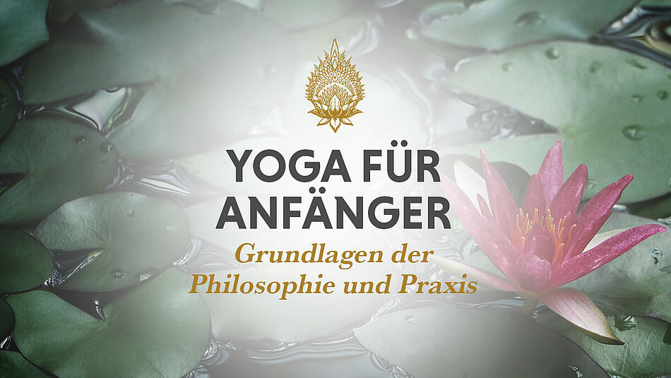 Online Yoga Kurs Anfänger Online Yoga Kurs Anfänger
