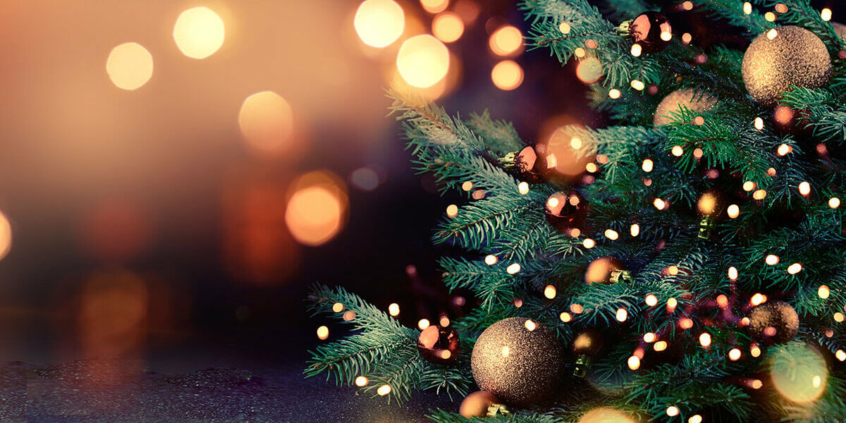 eihnachtsgeschenke-faire_baeume