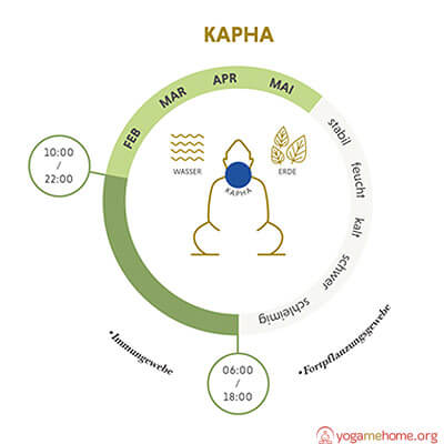 kapha-dosha-ayurveda-alltag