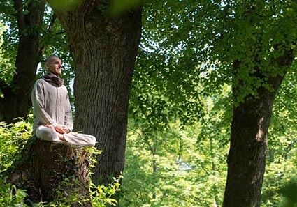Yoga & Meditations Wochenende - Event