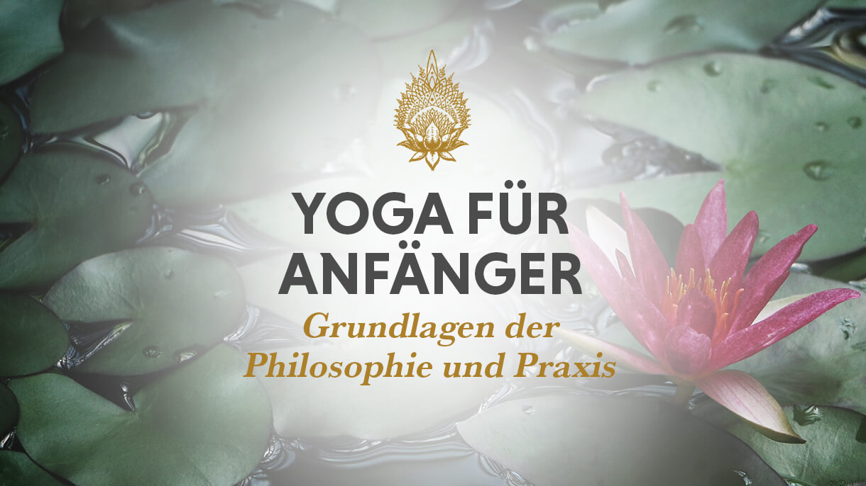 Online Yoga Kurs Anfänger