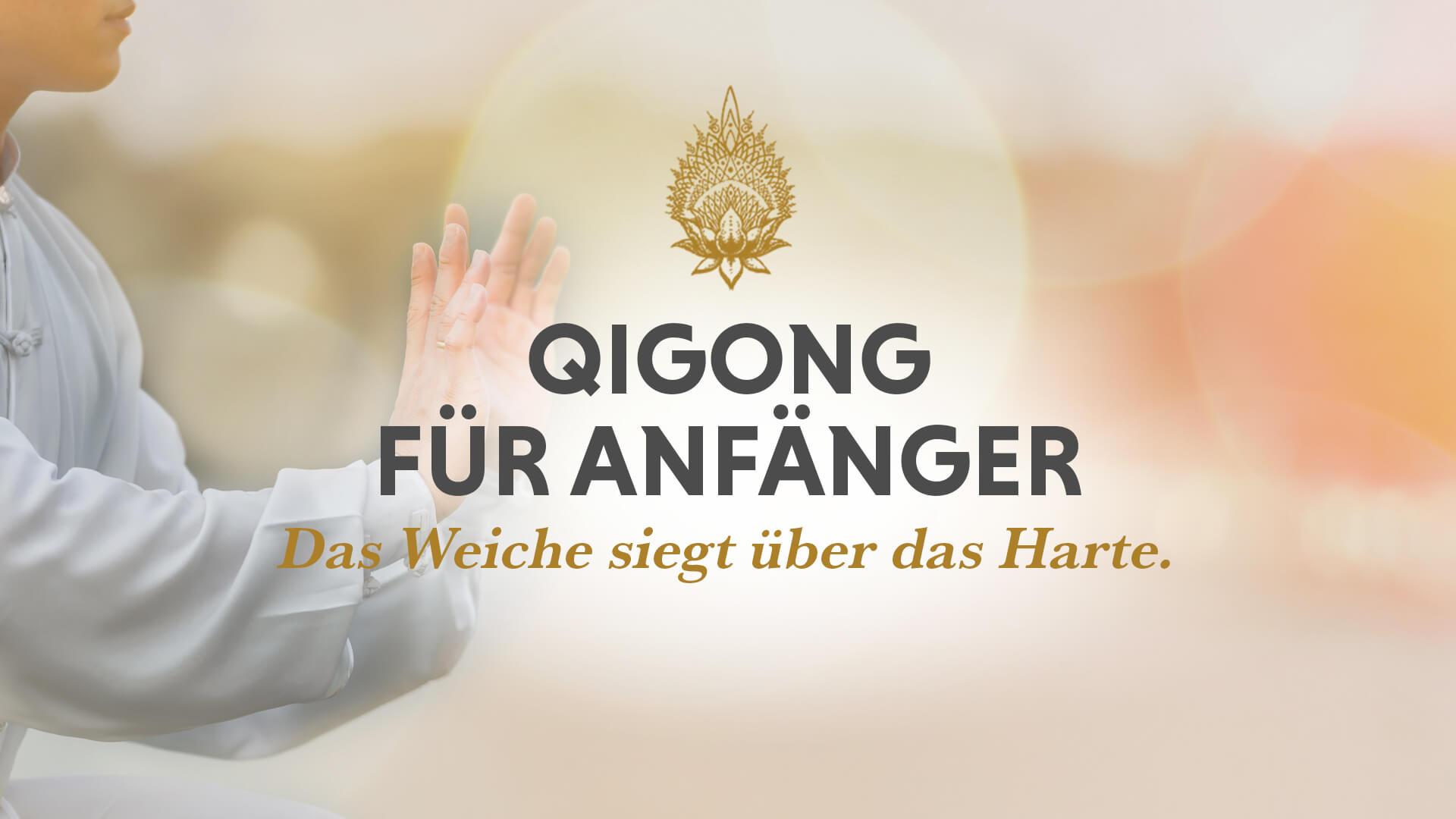 Qigong Online-Kurs für Anfänger