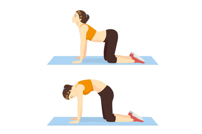 Katze-Kuh Katze-Kuh Yoga-Position